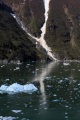 TRACY ARM FIORD