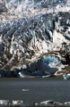 MENDENHALL GLACIER ICE