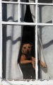 DOG IN THE WINDOW