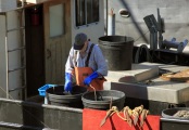 ALASKAN FISHERMAN