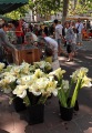 STRASBOURG RIVERSIDE MARKET