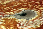 AERIAL PATTENS OVER OUTBACK QLD