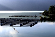 Lake Batur Kintamani