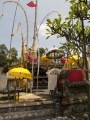 MELATI OFFERINGS