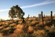 BIRDSVILLE CEMETERY