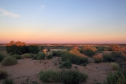 BIRDSVILLE SUNSET