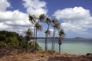 TIP OF CAPE YORK