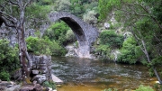 ROMAN BRIDGE CENTRAL CORSICA