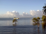 BLOOMFIELD COASTAL RIVER