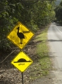 CASSOWARY SIGN