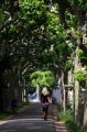 BLONDE WALK BESIDE THE MAIN RIVER