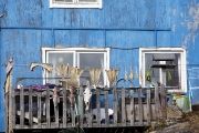 DRYING FISH ON THE BALCONY IN QATORTOK