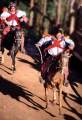 TODOS SANTOS HORSE RACE