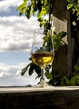 Wine Glass with Sunlight Through It