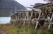 DRYING FISH