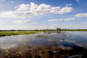 YELLOW WATERS, KAKADU NATIONAL PARK