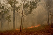 BACK BURNING AT KAKADU