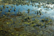 FLOODPLAIN KAKADU