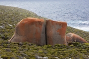 RED REMARKABLE ROCKS KI