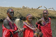 MASAI WEDDING PARTY