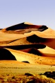 DUNES AT SOUSSEVLEI