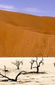 NAMIBIAN VLEI