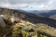 MT KOSCIUSZKO