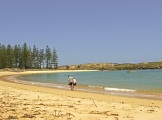 EMILY BAY NORFOLK ISLAND