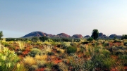 KATA JUTA AFTER THE RAIN