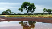 ULURU AFTER THE RAINS