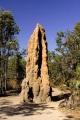 TERMITE MOUND  LITCHFIELD NP