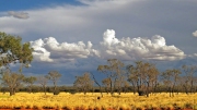 STORM CLOUD  ULURU  NT