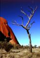 CENTRAL AUSTRALIA