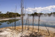 KUIRAU PARK  NZ