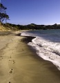 OMAPERE BEACH PORTRAIT