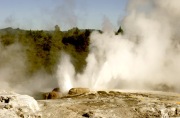 TE PUIA THERMAL AREA