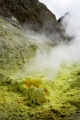 WHITE ISLAND SULPHUR AND STEAM