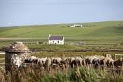 ORKNEY FARMHOUSE