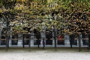 GARDENS OF THE ROYAL PALACE PARIS