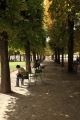 TUILERIES GARDEN