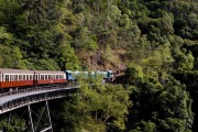 KURANDA TRAIN