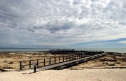 HAMELIN BAY AT SHARK BAY