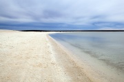 SHELL BEACH SHARK BAY