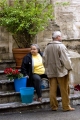 ROSE SELLER