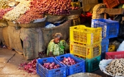 Onion-Peeler-Mysore-W