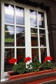 FLOWER BOXES AT SWISS RAILWAY STATION