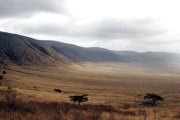 NGORONGORO CRATER