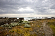 KING ISLAND  BASS STRAIT