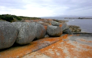 PORT DAVIES FLINDERS ISLAND