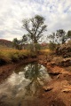 AFTER THE RAIN AT EL QUESTRO